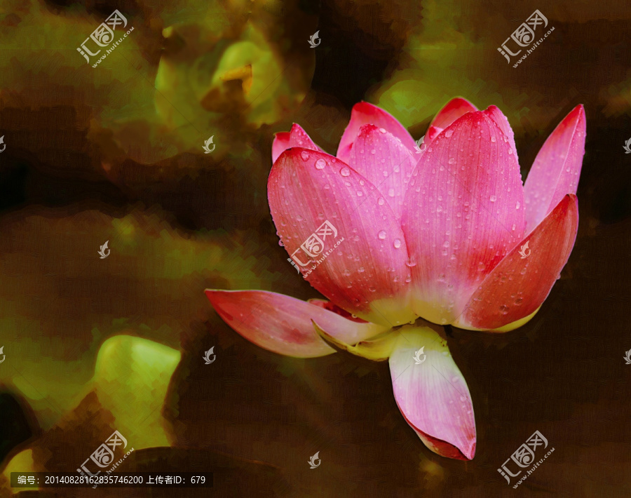 荷花,油畫,裝飾畫