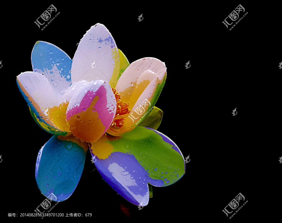 荷花,裝飾畫,無框畫