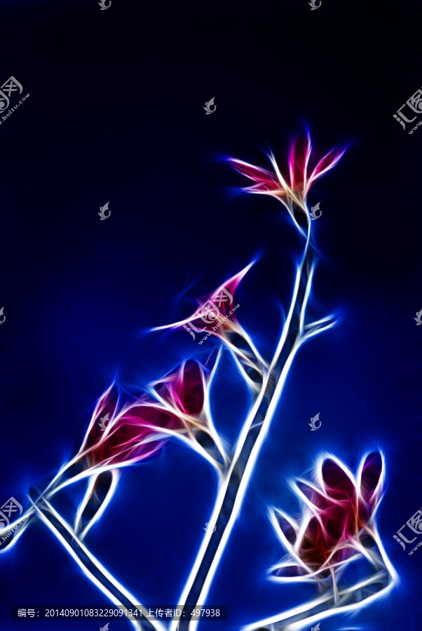 裝飾畫,花