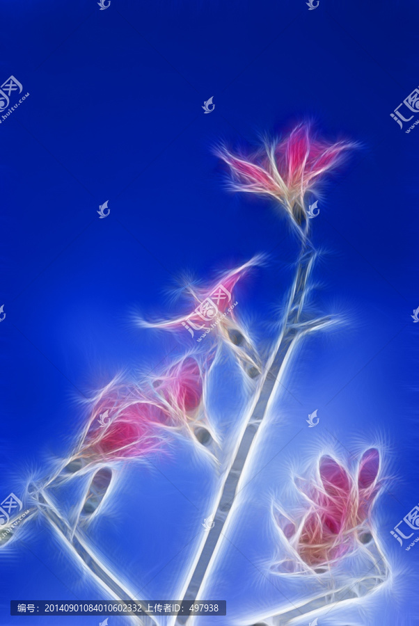裝飾畫,花
