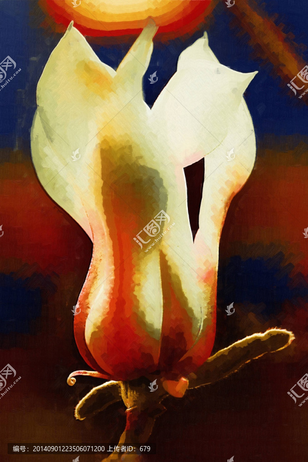 裝飾畫,油畫,玉蘭花