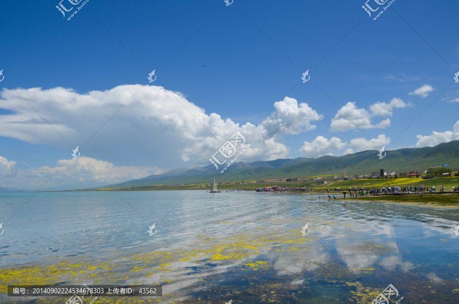 青海湖风光