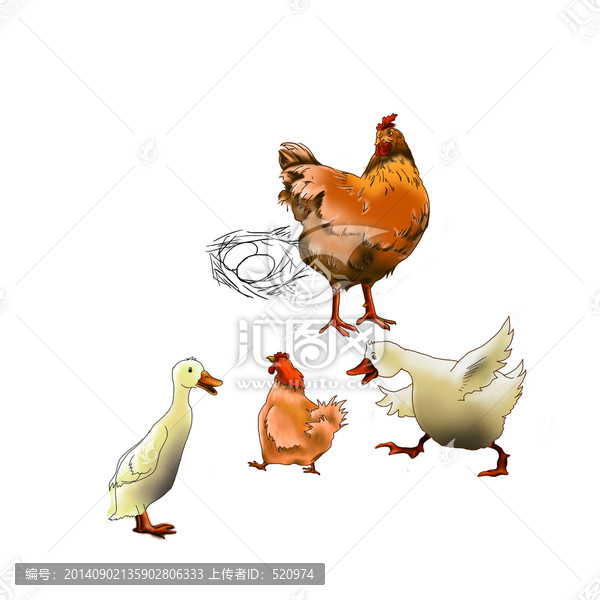 農(nóng)家雞包裝設(shè)計