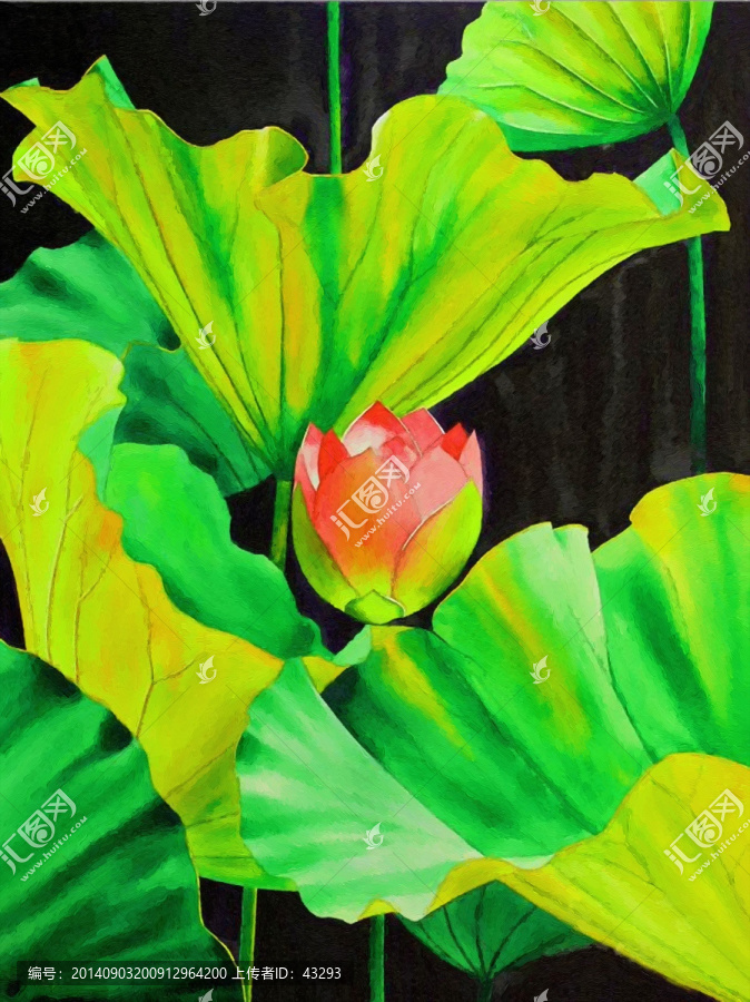 荷花油畫