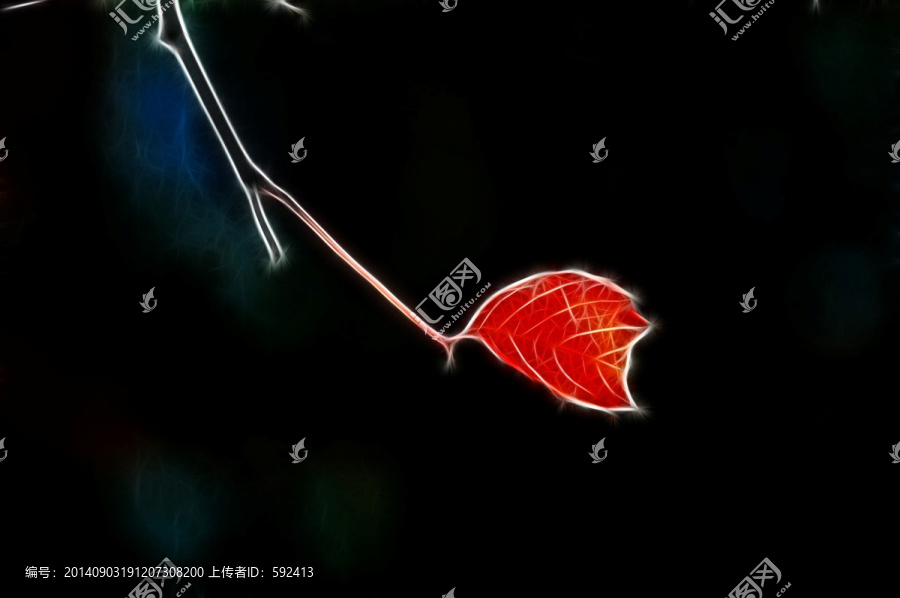 秋葉變奏曲之小紅葉