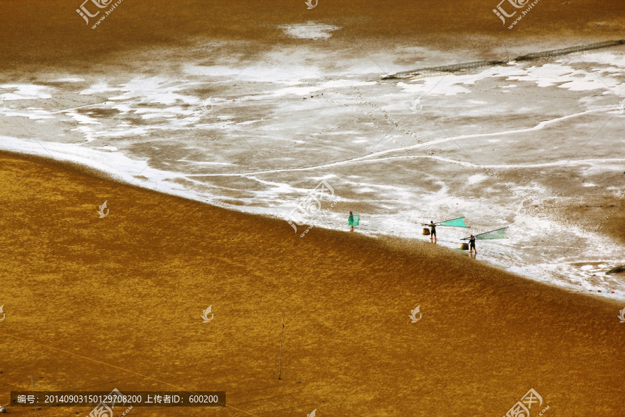 霞浦滩涂捕鱼场景