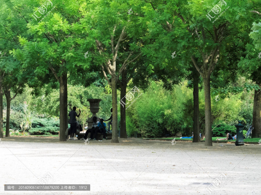 公園,樹林