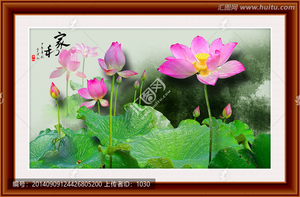 荷花