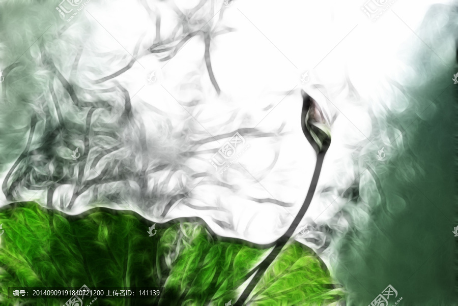 荷花,抽象畫,裝飾畫,無框畫