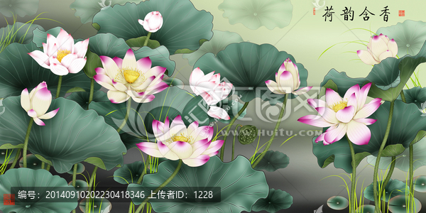 荷花,荷韻含香