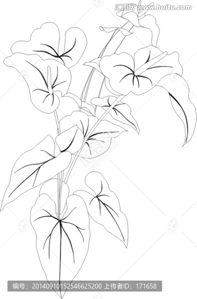 矢量花卉紅掌閉合可編輯CDR