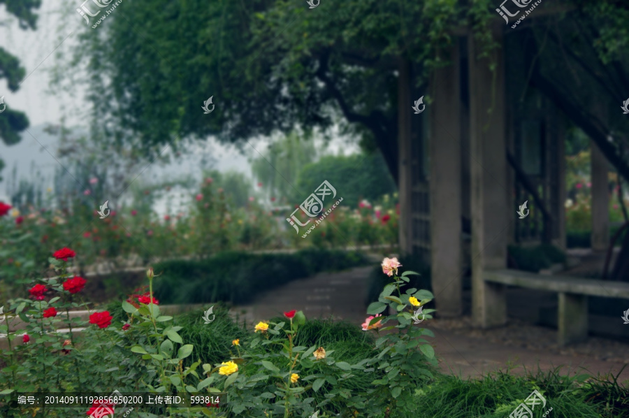 園林,高清攝影,花園涼亭-匯圖網(wǎng) fosd68.com 園林,高清攝影,花園涼亭