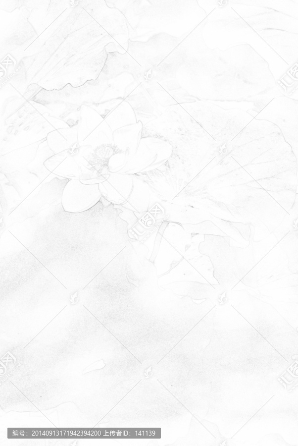 素描,荷花,荷韻,無框畫