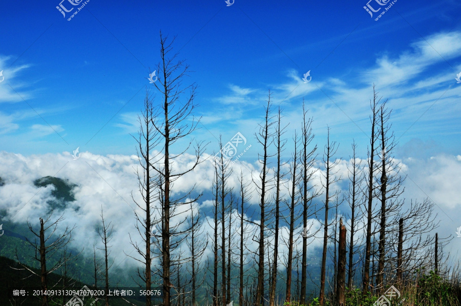 武功山,云海