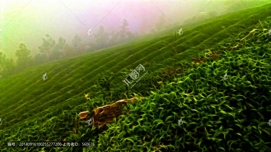 茶山,装饰画