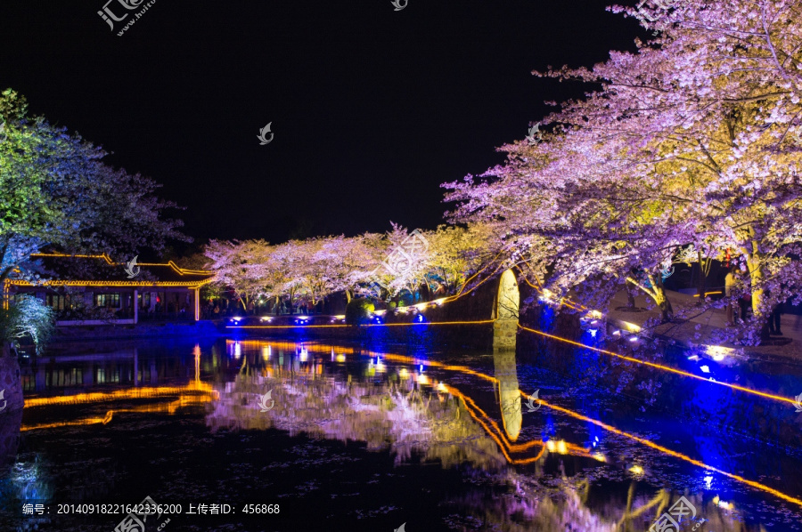 无锡鼋头渚,夜景