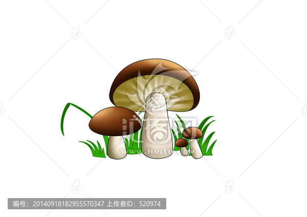 菌類