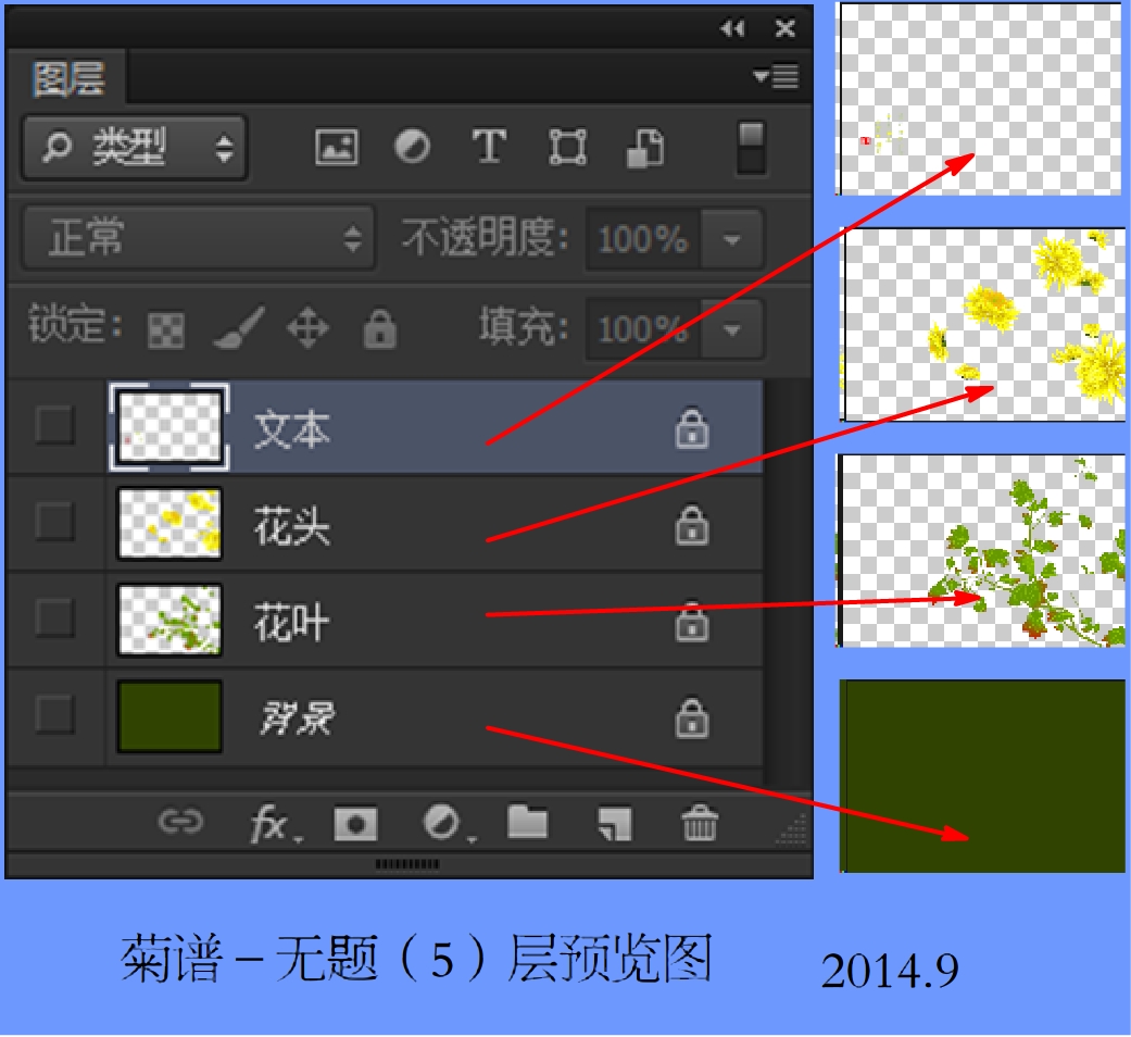 菊譜無(wú)題