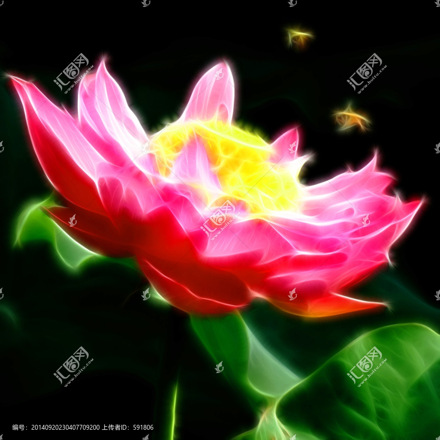 光繪荷花圖抽象畫