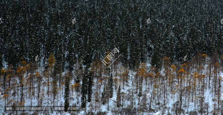 雪霁图