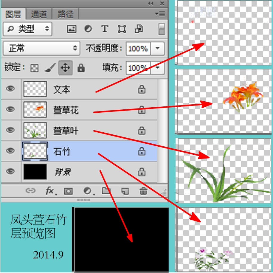 鳳頭萱石竹
