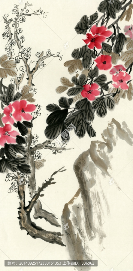 山茶花,梅花
