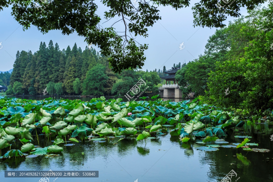 湖景