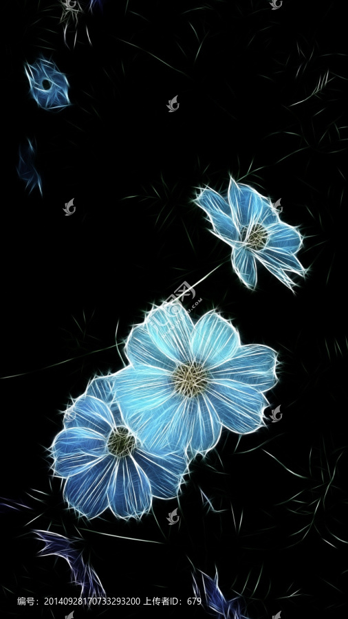 花卉,花朵,裝飾畫