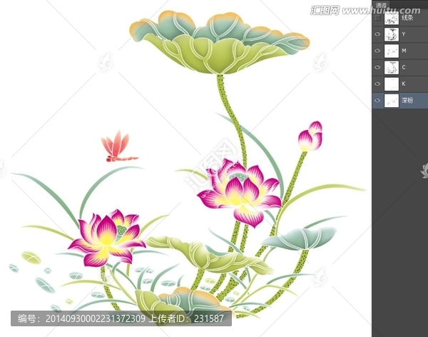 四色荷花