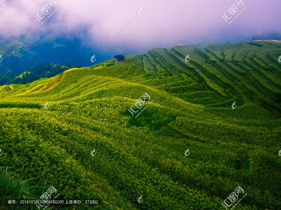 加榜梯田