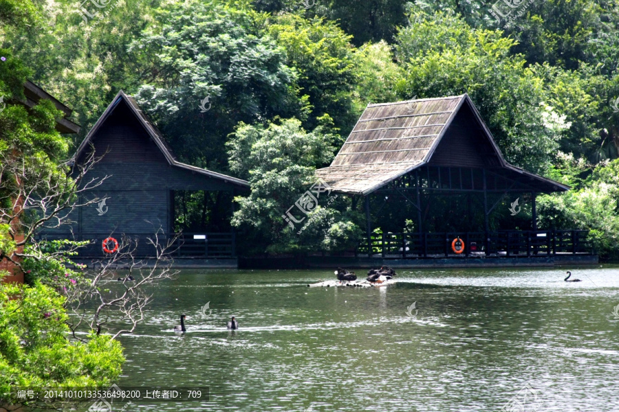 湖边建筑亭子