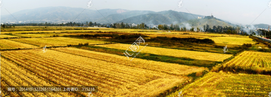 秋收田园风光全景图