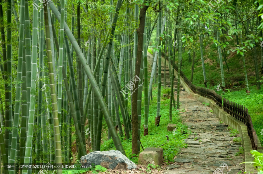 竹林小路