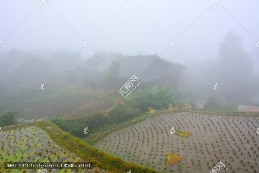 雨中