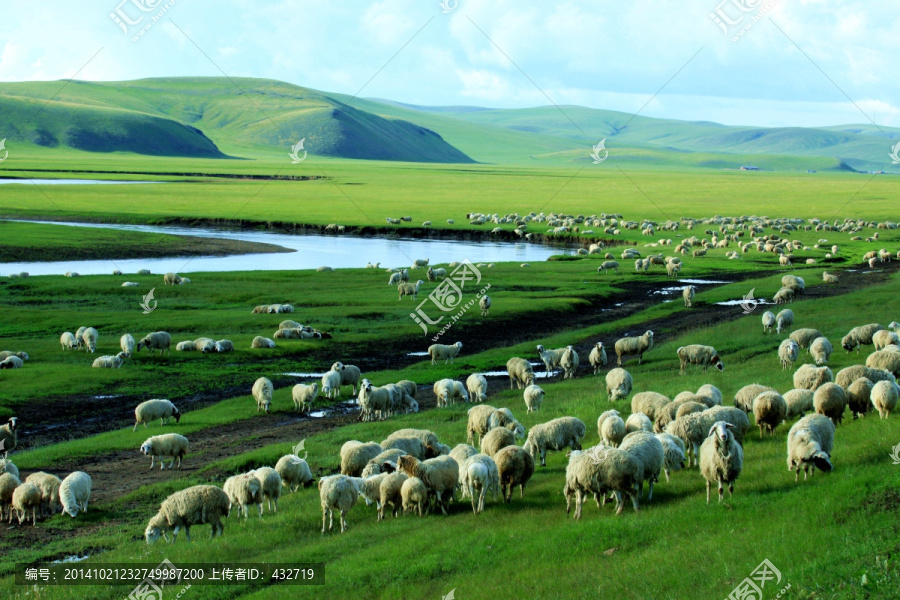 呼伦贝尔草原,羊群,河流