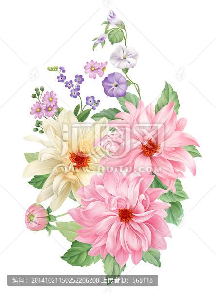 高清朵花