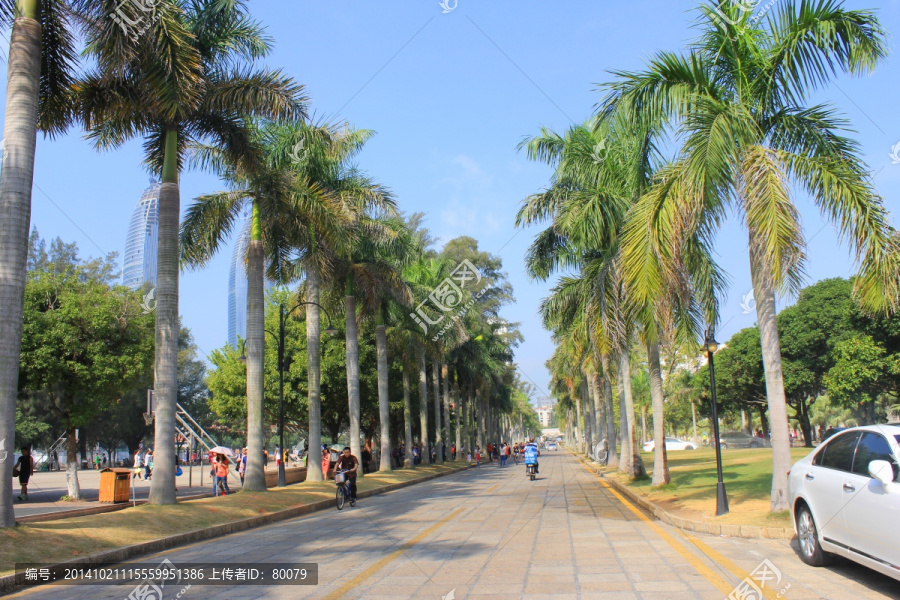 厦门大学,校园美景