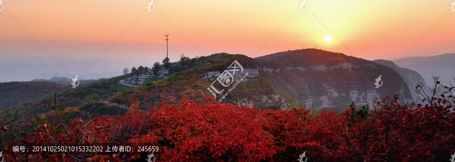 秋色,红叶,太行山,日落