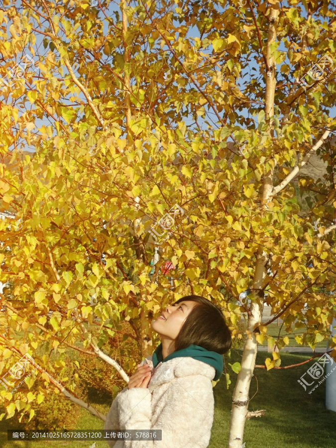 秋叶下的女孩儿