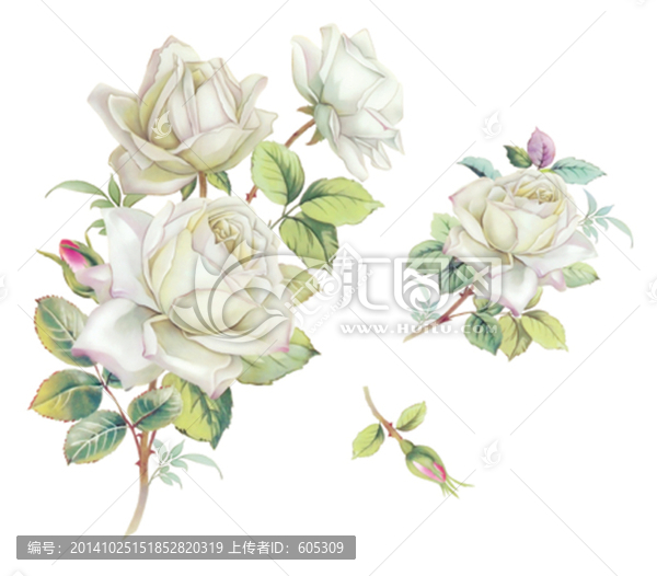 白花