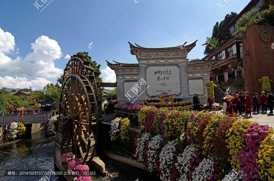 丽江大研古镇大水车菊花全景