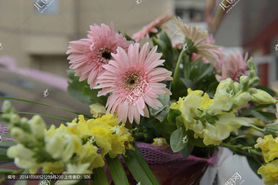 菊花,花束,花车,鲜花,花