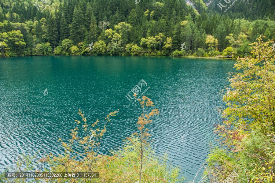 九寨迷人秋色湖泊景观,老虎海