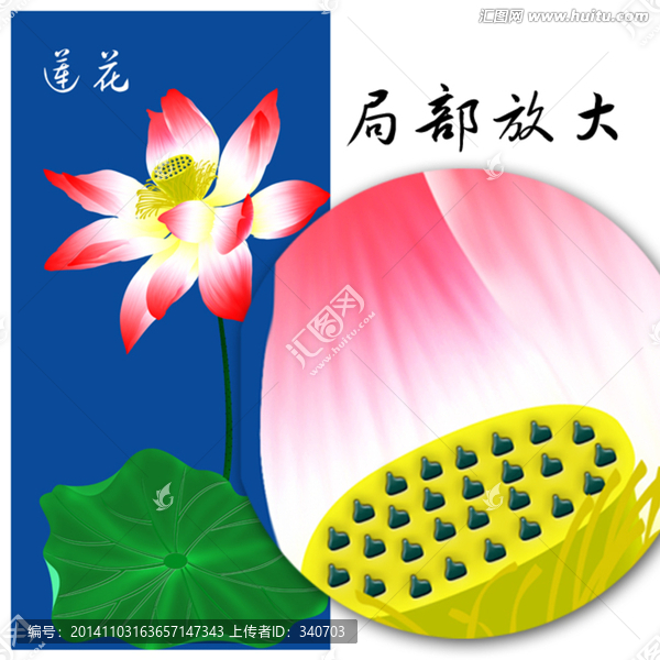 荷花移門,背景圖,荷花繪畫
