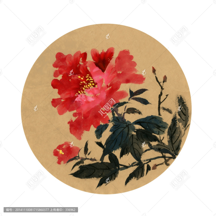 花開富貴,牡丹花