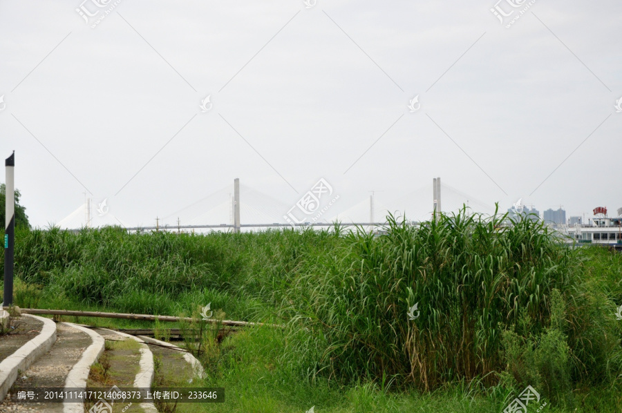 武汉风景