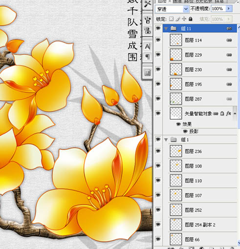 玉蘭花與牡丹花