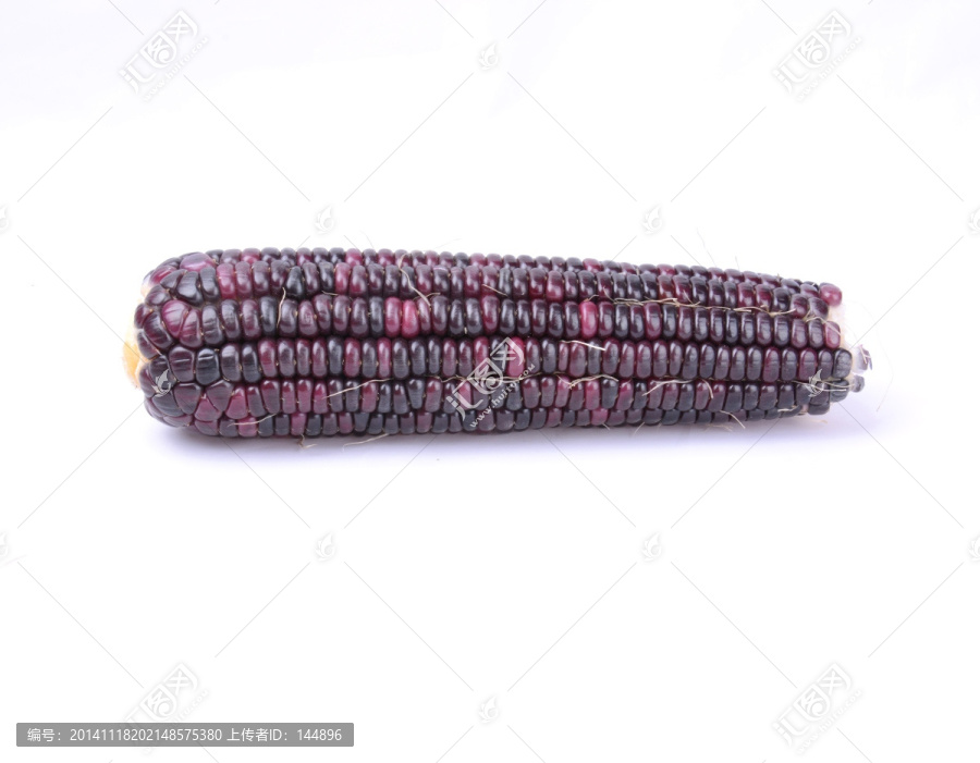 紫色玉米
