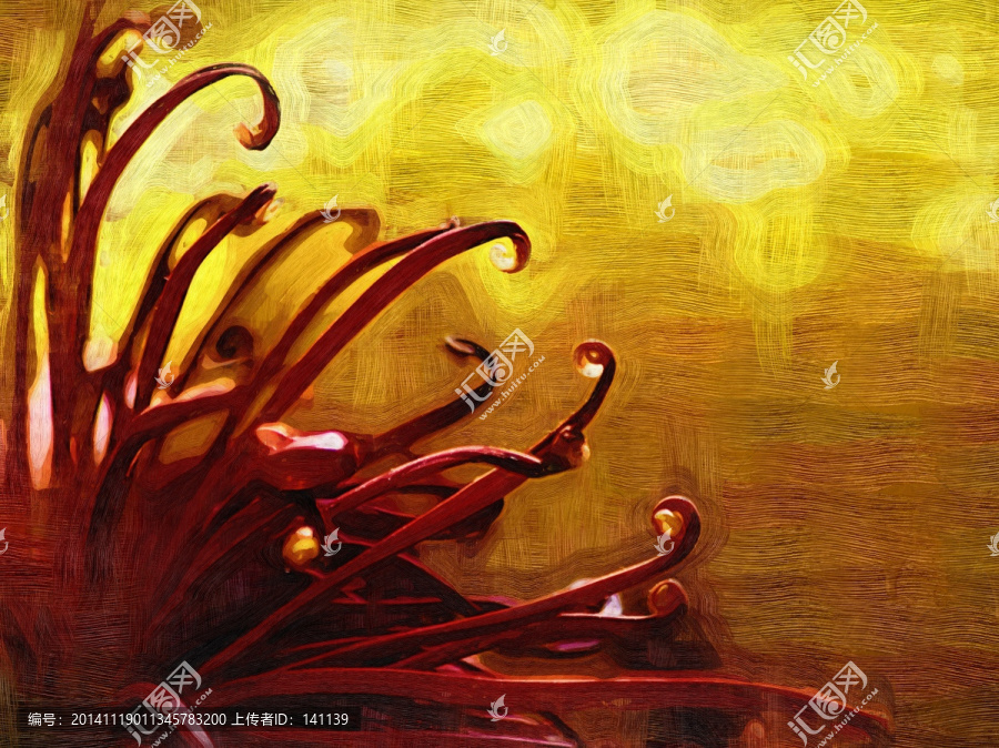 秋菊,花卉油畫,裝飾畫,無框畫