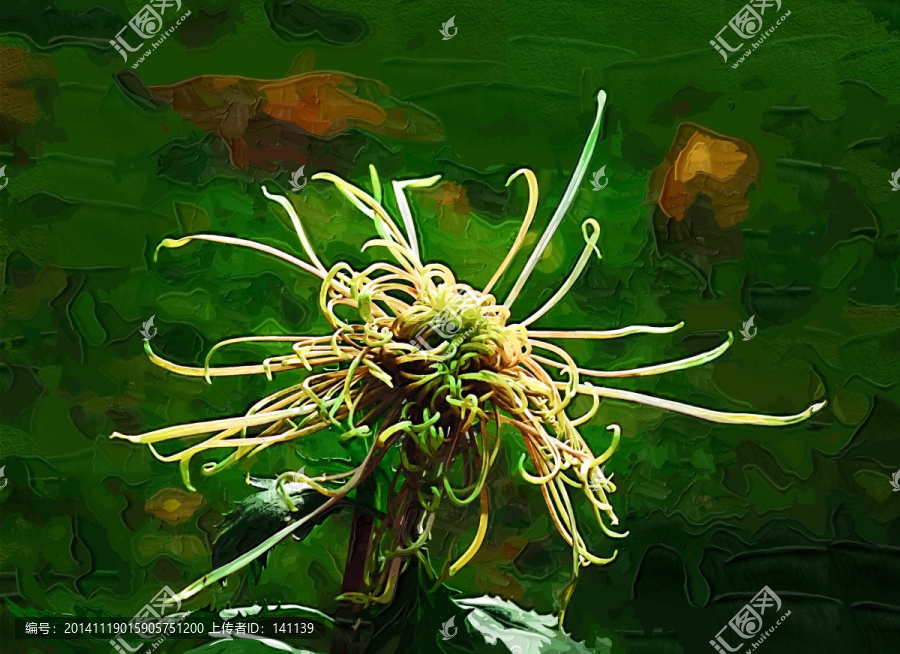 秋菊,花卉油畫(huà),裝飾畫(huà),無(wú)框畫(huà)